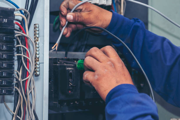 Best Residential Electrician Services  in Hazel Park, MI